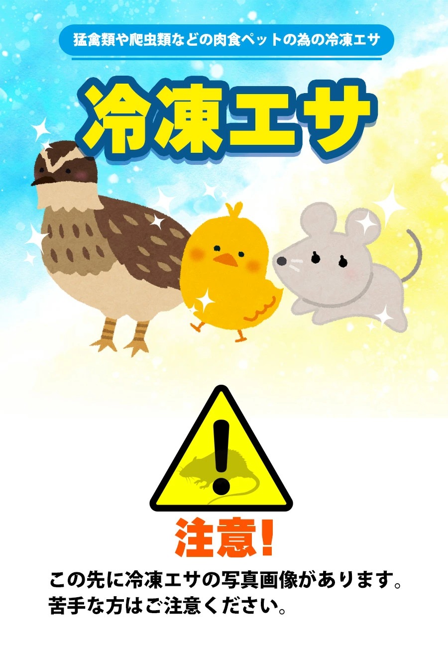 冷凍 エサ冷凍 冷凍マウス ファジー 約6g 10匹パック T2 クール便発送