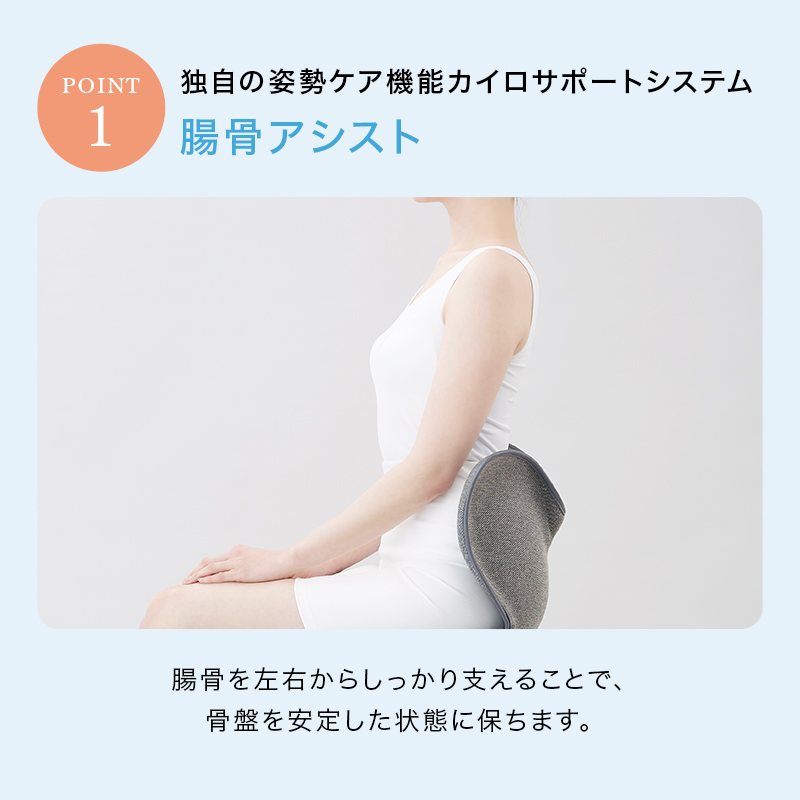 Style（スタイル） 爆買 姿勢ケアシート Style Standard スタンダード