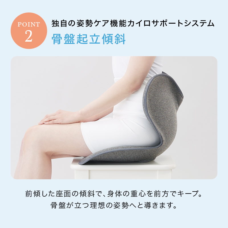 Style（スタイル） 爆買 姿勢ケアシート Style Standard スタンダード