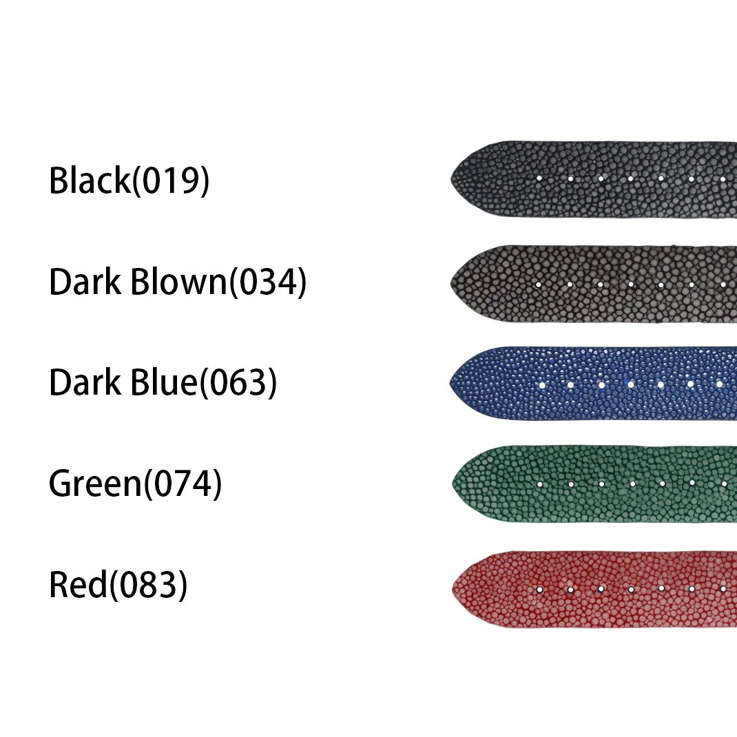 CASSIS（カシス） 腕時計ベルト バンド ガルーシャ エイ革 本革 裏面