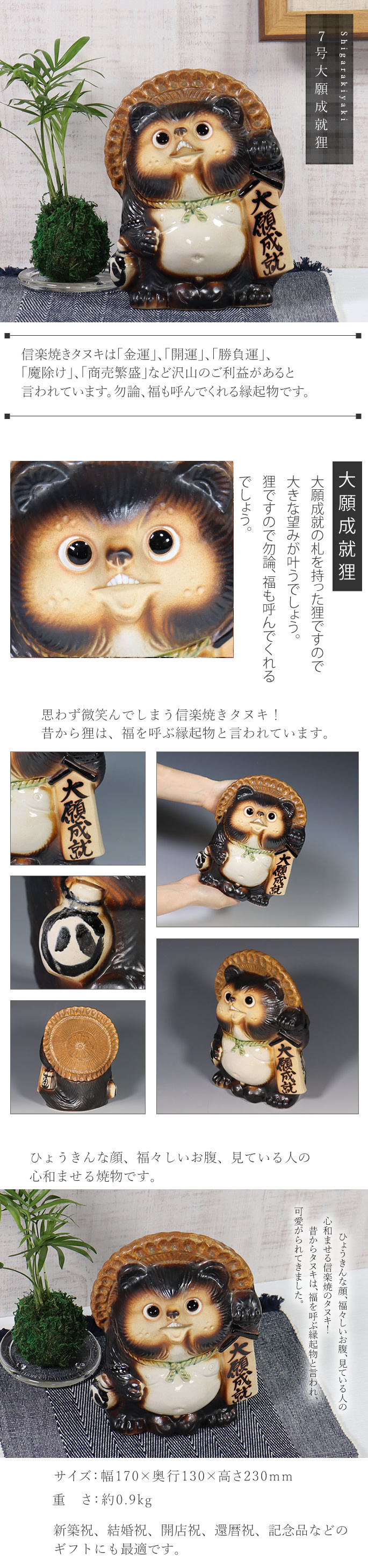 信楽焼 7号大願成就狸 たぬき タヌキ 狸 開運 縁起物 可愛い 陶器 商売