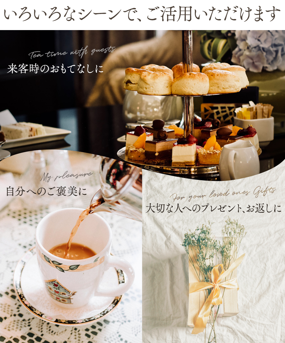 Rooibos Factory（ルイボスファクトリー） ルイボスティー ギフト