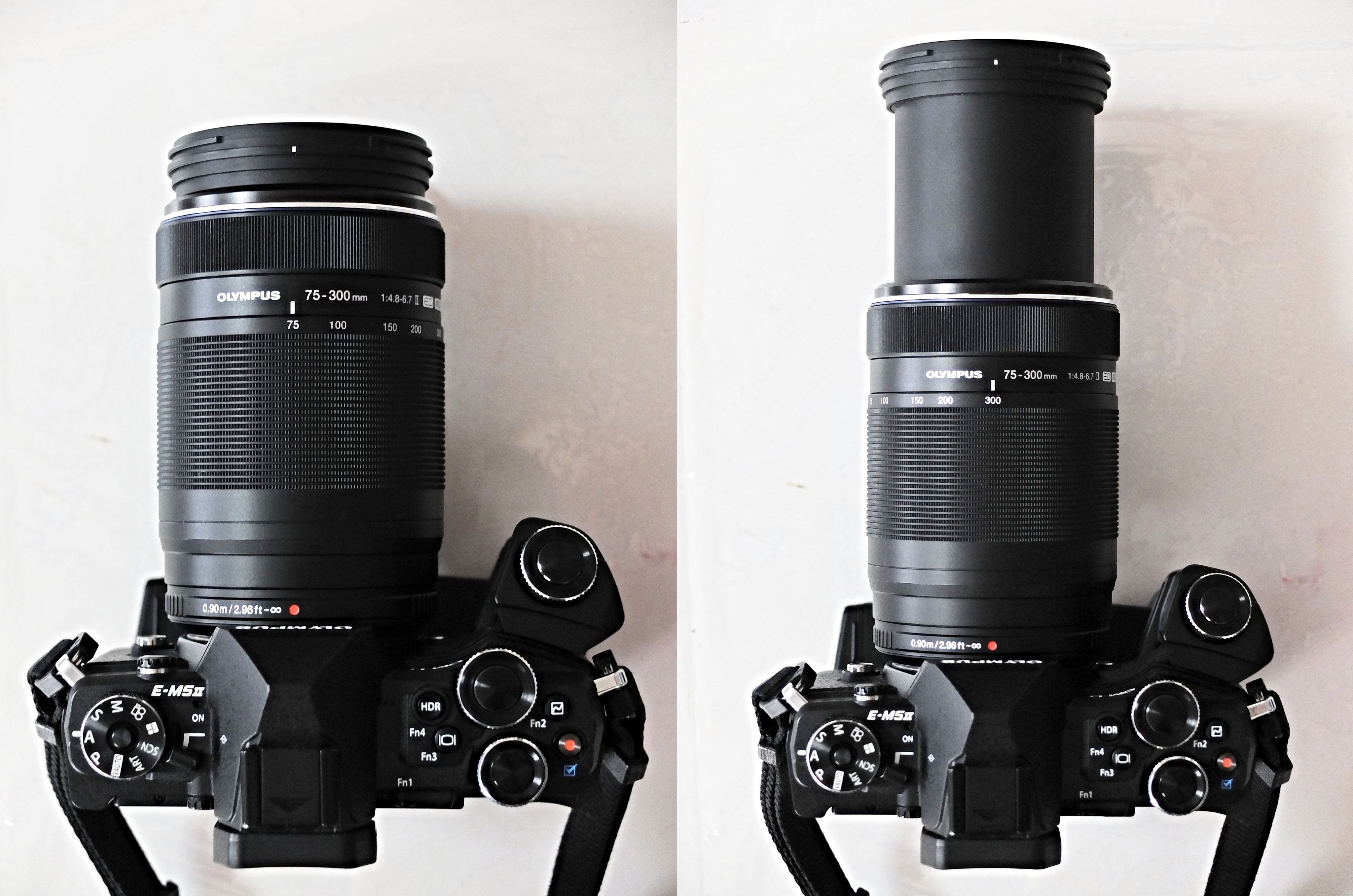 手持ちで超望遠ズームを楽しむ 【M.ZUIKO DIGITAL ED 75-300mm F4.8