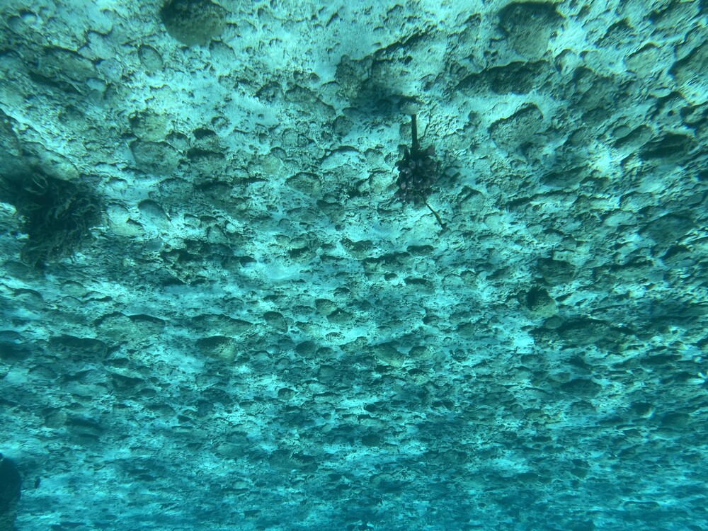 水中遊覧船イエローサブマリン｜40分コース】渡嘉敷島☆雨の日もOK