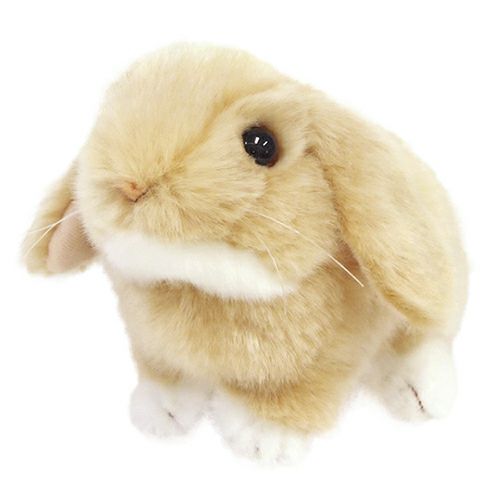 吉徳 ロップイヤー – 日本の老舗通販．net