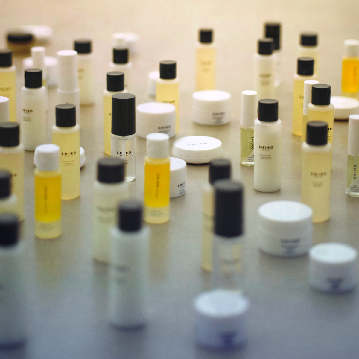 2024 HOLIDAY 「ADVENT CALENDAR」 | 新製品情報 | SHIROオフィシャル