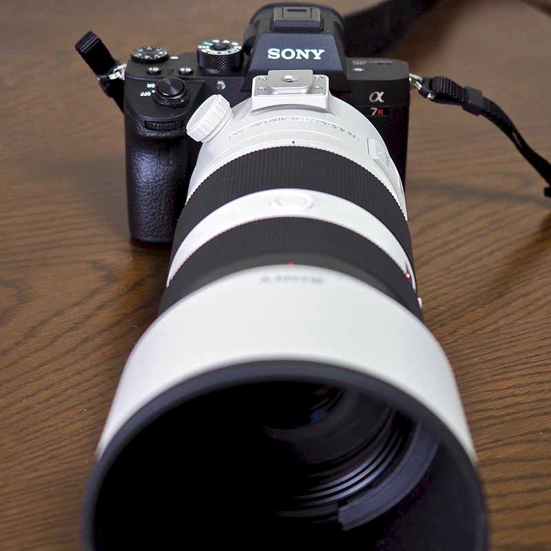 SONYのミラーレスカメラ『α7RIII』は野鳥撮影に使えるか？ | SIMS LAB