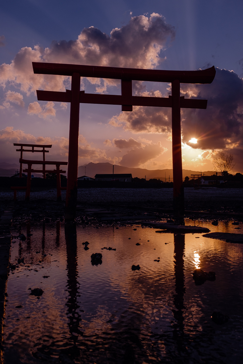 作例+レビュー】富士フイルムX100はおしゃれで楽しいカメラ