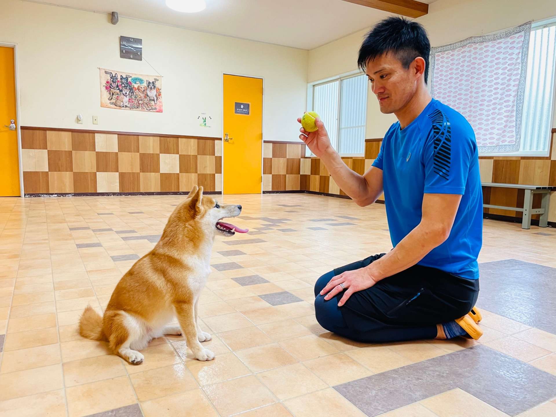 しつけ | 静岡県伊東市 ｜しっぽの教室