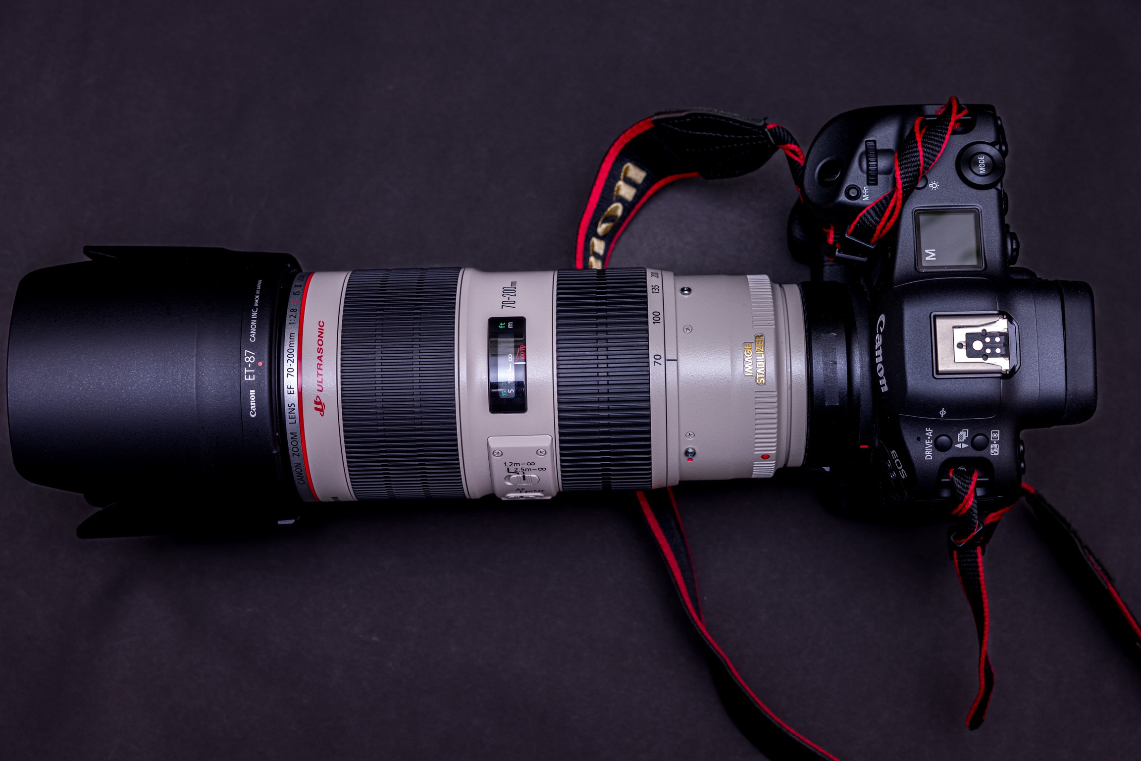 新年一発目に。CANON EF70-200mm F2.8L IS II USMを購入しました