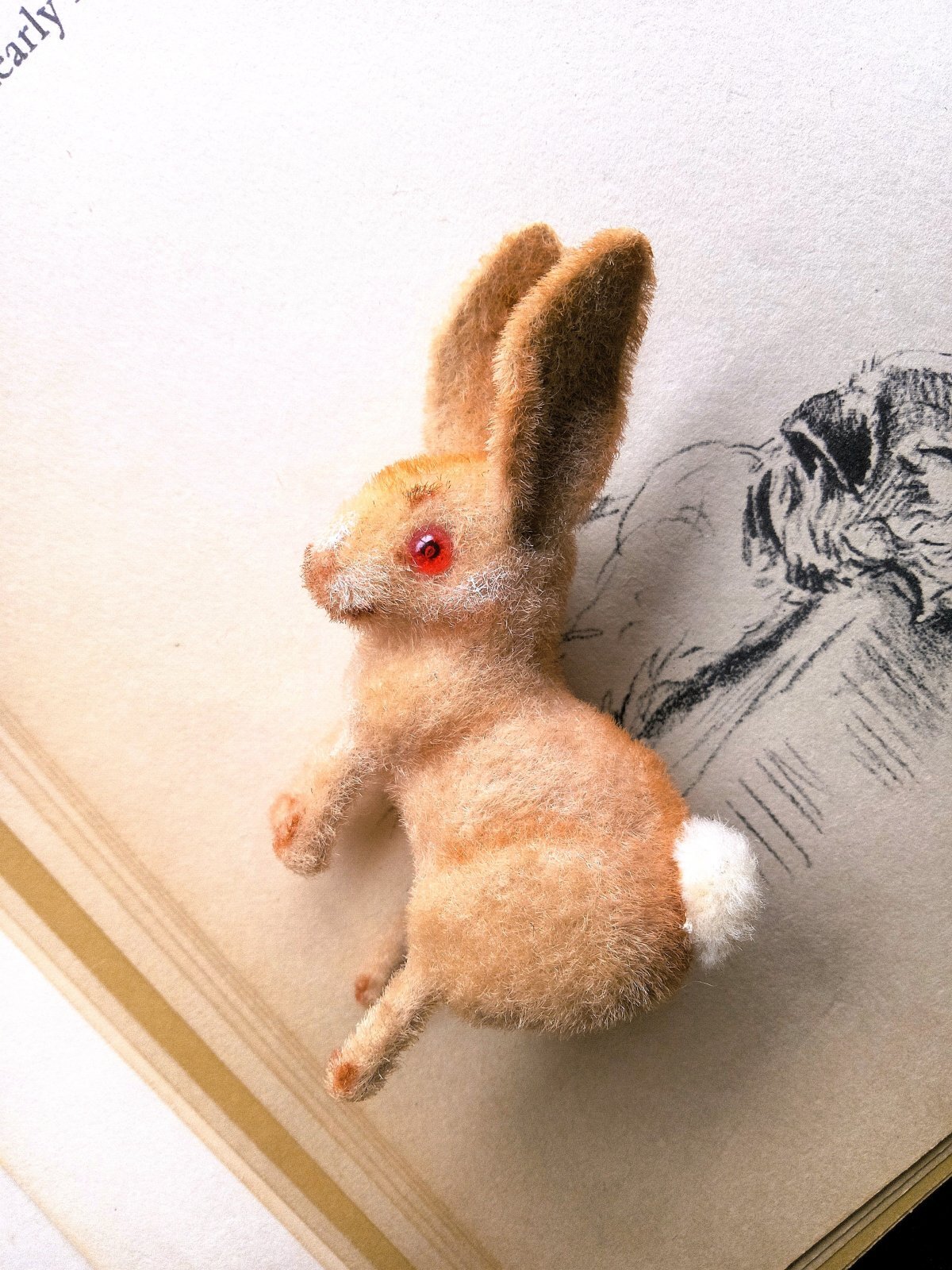 お月見できたかな 野うさぎ 2. バニー ドイツ Wagner kunstlerschutz