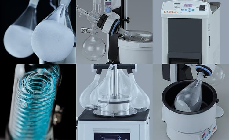 EYELA 東京理化器械株式会社 | EYELA 東京理化器械株式会社