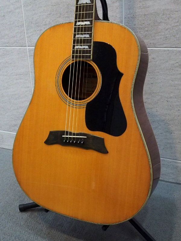 Morris MG-50 1978年頃 ビンテージ 1240623 Morris(モーリス)【楽器