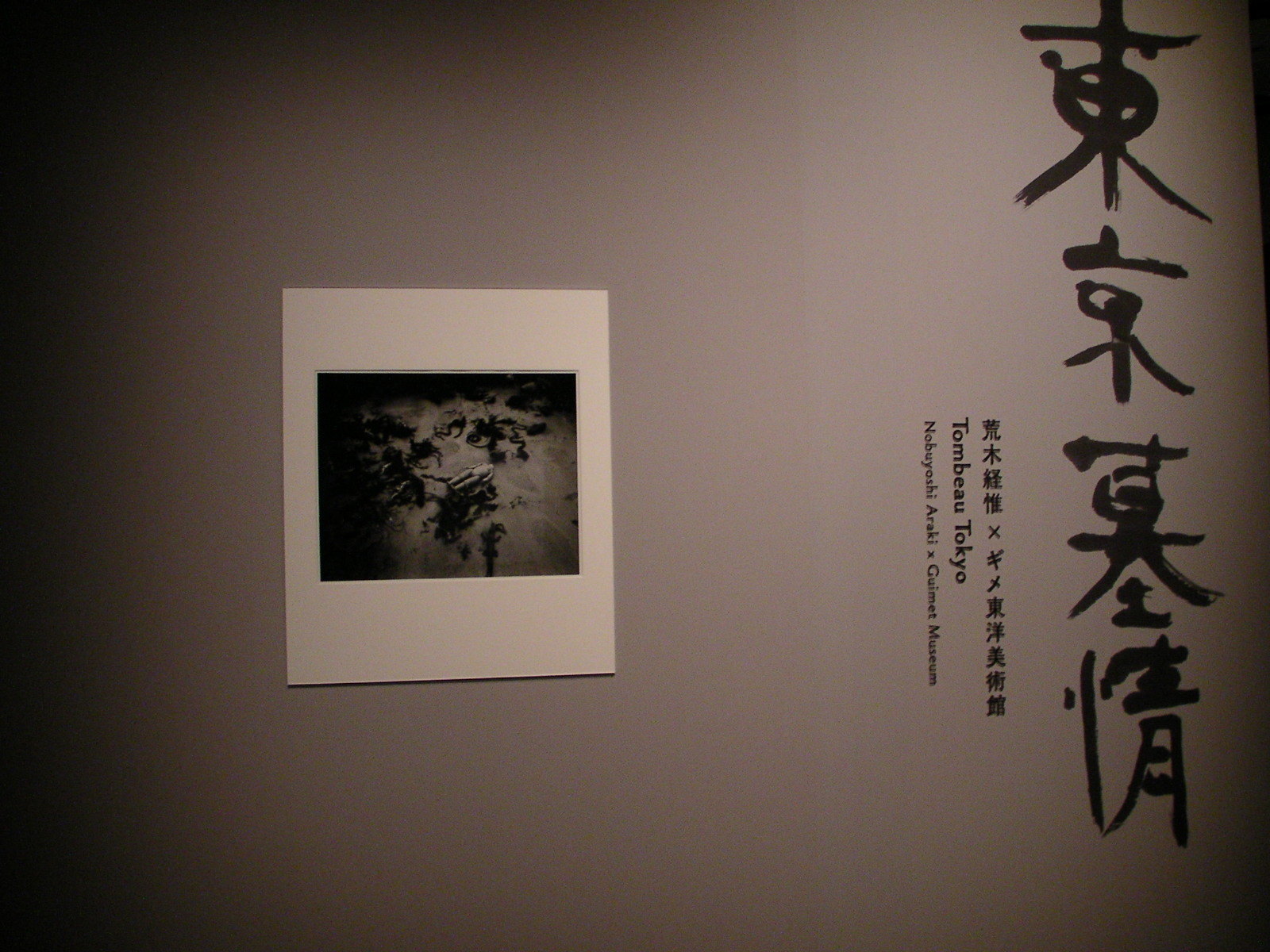 アラーキーが独自の死生観で生を激写する 『東京墓情 荒木経惟×ギメ