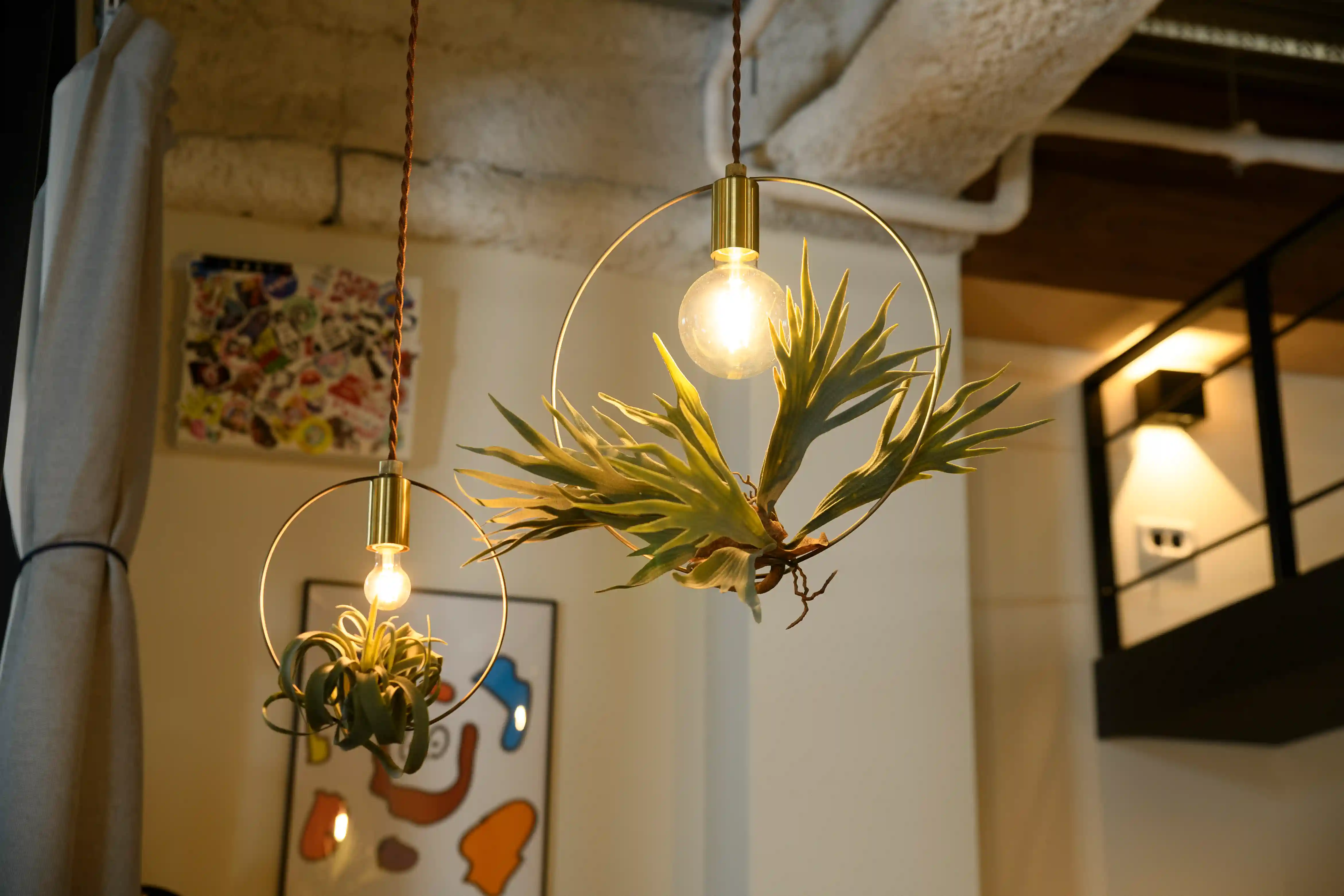 BOTANIC HANGING WIRERING LIGHT | スワン電器 | SWAN