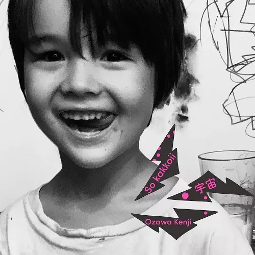 LIFE(LP)/KENJI OZAWA/小沢健二/ジャケット及びインナースリーブに