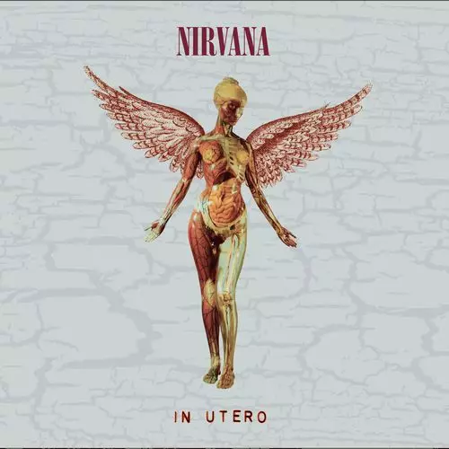 IN UTERO (30TH ANNIVERSARY 1LP+10INCH)/NIRVANA/ニルヴァーナ/[1LP+
