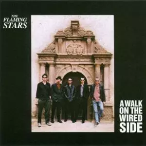FLAMING STARS商品一覧｜ディスクユニオン・オンラインショップ