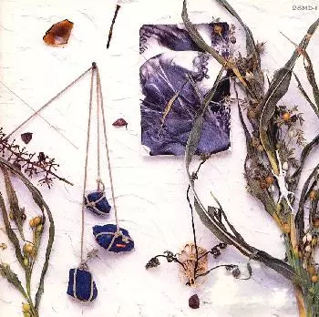 夏のぬけがら/MASATOSHI MASHIMA/真島昌利｜日本のロック｜ディスク