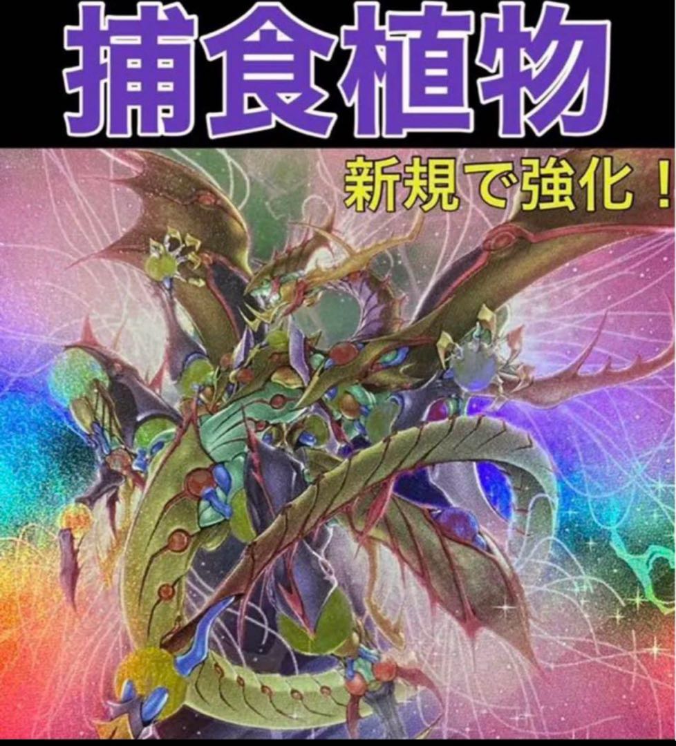 遊戯王 捕食植物 デッキ プレデタープランツ 1枚の通販 トレカGALAXY