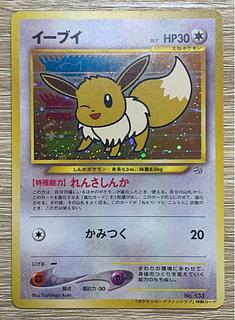 旧裏 イーブイ」の激安通販 | magi