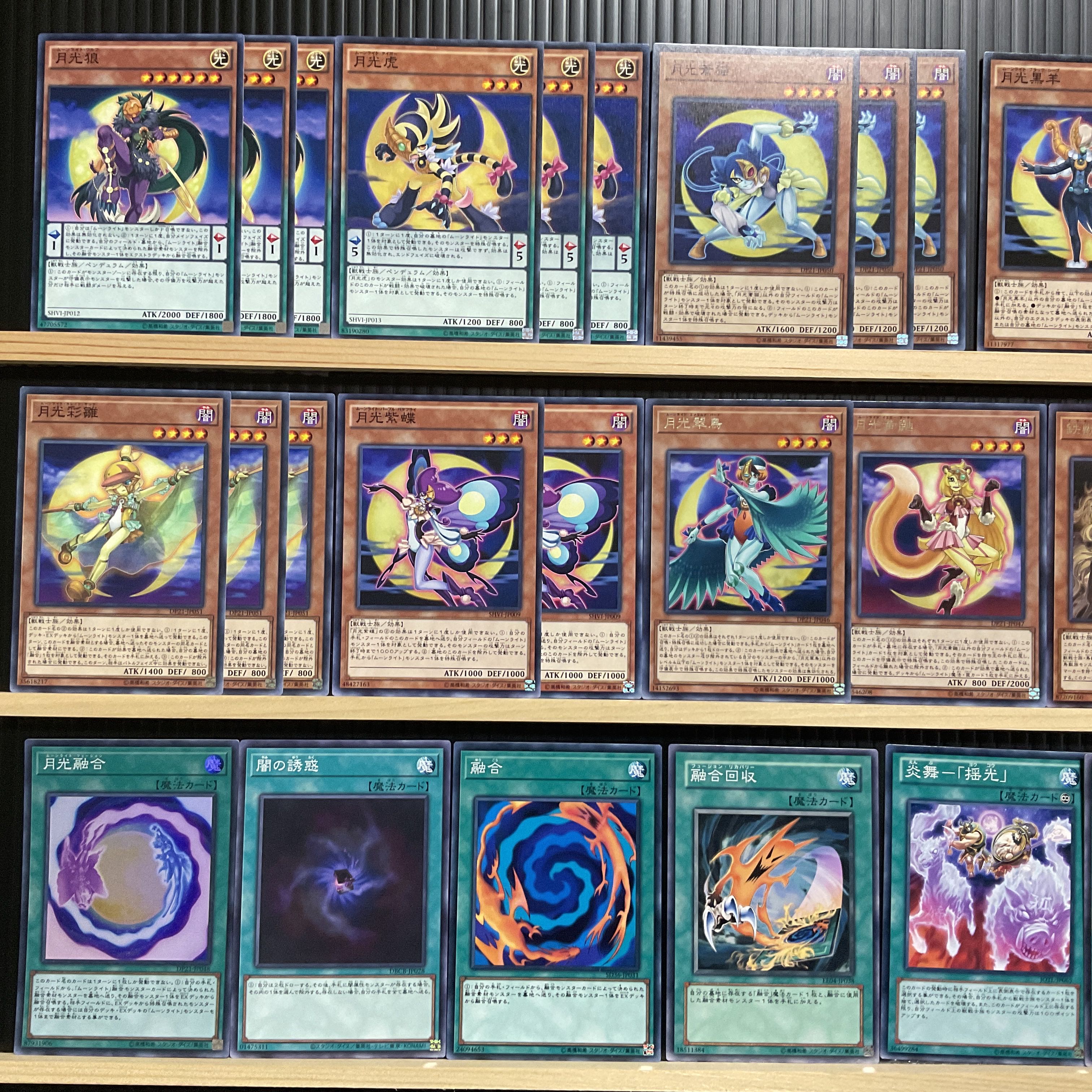 遊戯王 月光デッキ メイン40エクストラ15 ムーンライト 1枚の通販