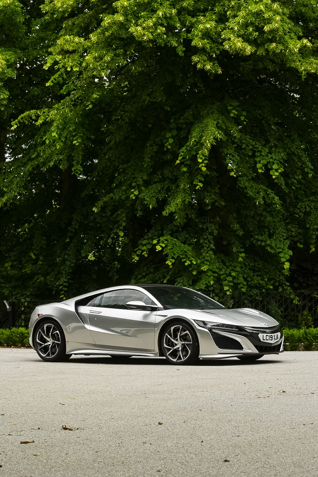 16619-12.jpg?v=63853361460657