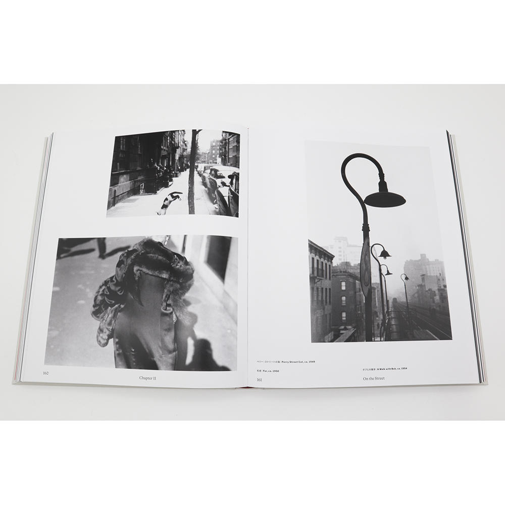 The Centennial Retrospective ソール・ライター（Saul Leiter） 写真