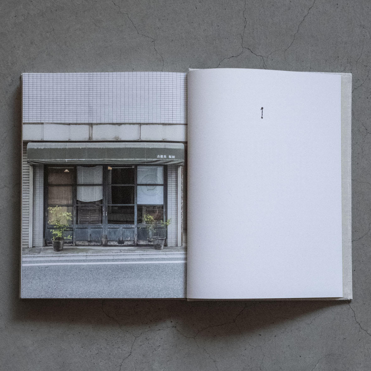 工芸青花 19号 工芸青花 -の商品詳細 | 蔦屋書店オンラインストア