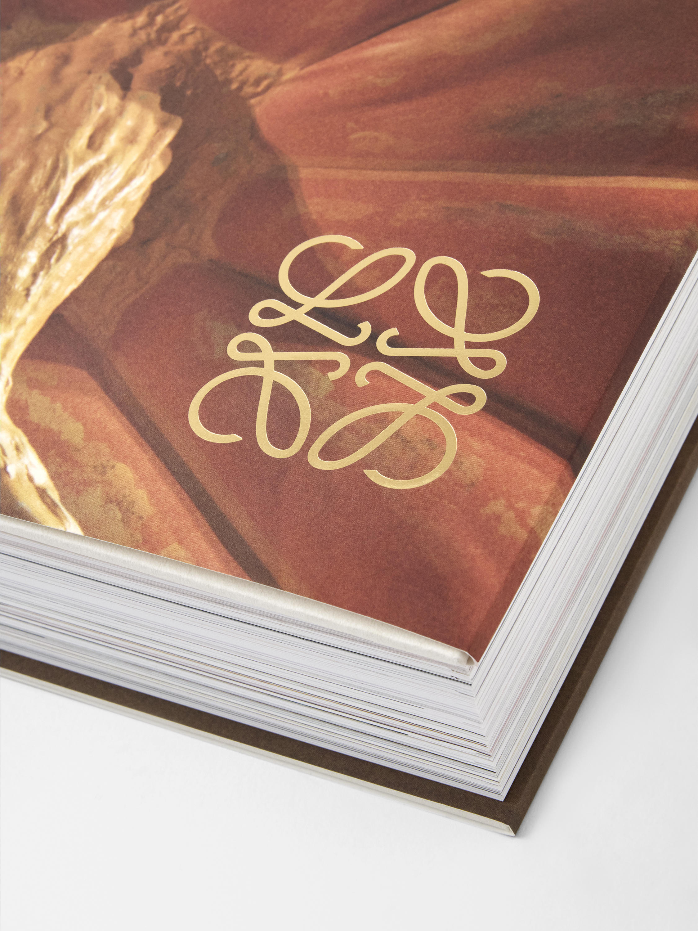 Crafted World: Jonathan Andersonʼs LOEWE』 -の商品詳細 | 蔦屋書店