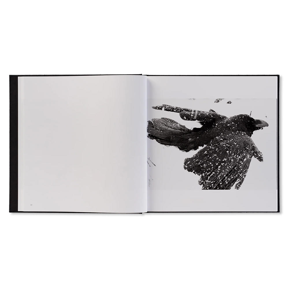 深瀬昌久写真集 「鴉/RAVENS（レイブンズ）」 . 深瀬昌久 -の商品詳細