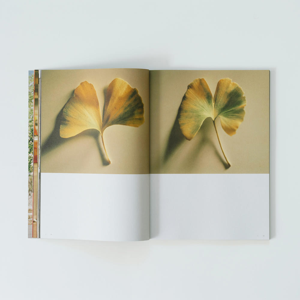 Bacon by Kyohei Hattori 服部恭平 写真集 服部恭平、栗山サキ