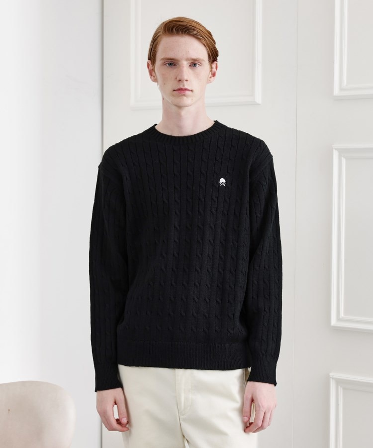 LIMITED】ワンポイント刺繍ケーブルニット（ニット/セーター） | TAKEO