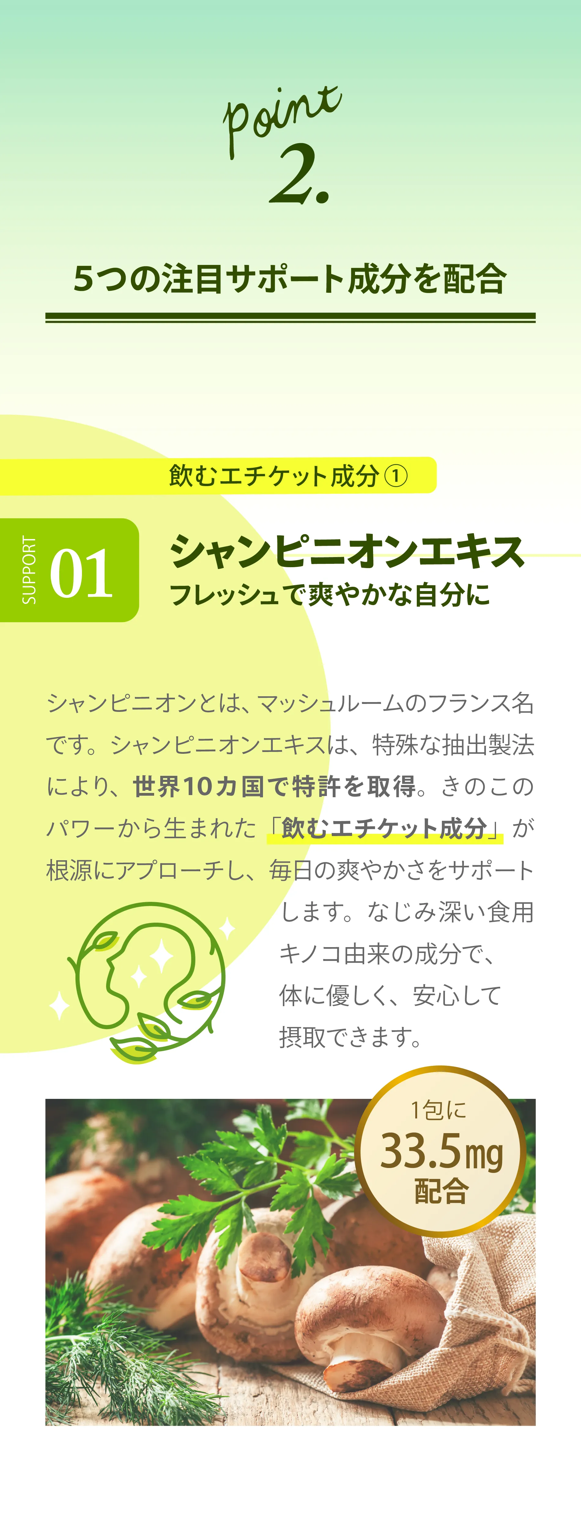 LAVA×BE-MAX BRM 1.3(ラバ×ビーマックスベルム1.3)｜LAVA公式