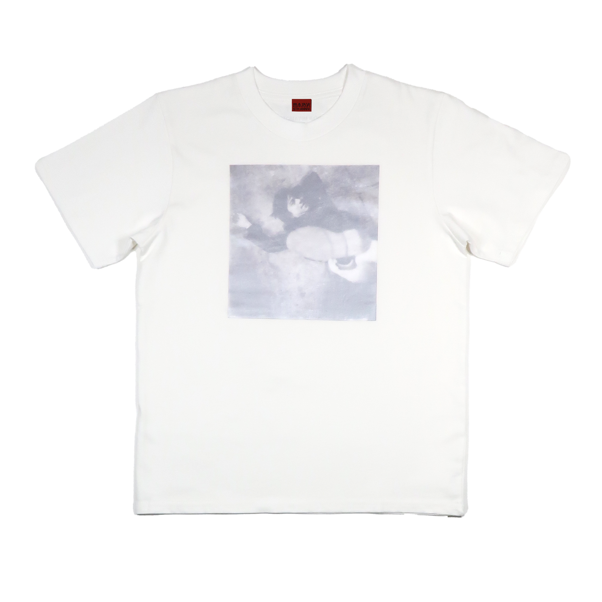 N*す様 THE GAZETTE 20周年 HELESY 限定 Tシャツ 白 L the GazettE ML