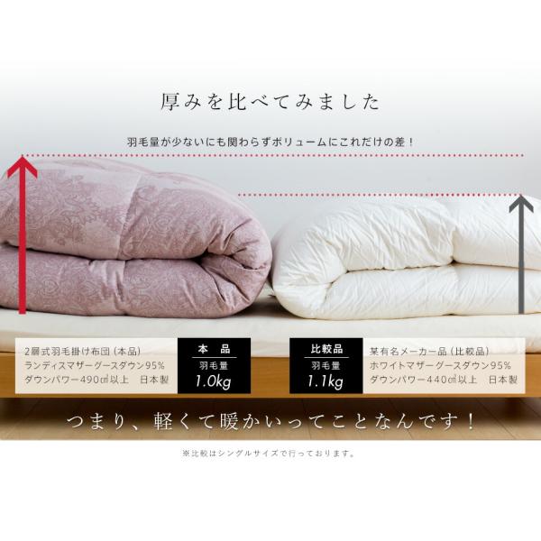羽毛布団 二層式 シングル ランディスマザーグース95％ マザーグース