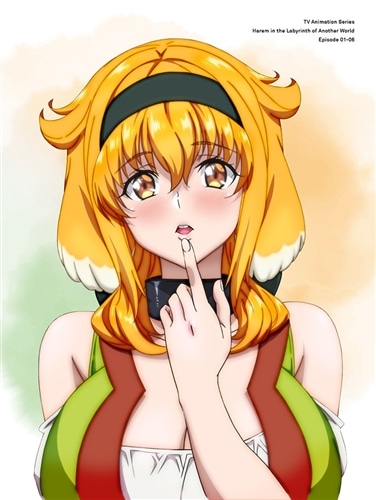 異世界迷宮でハーレムを DVD BOX 上巻《通常版》: BD・DVD・CD