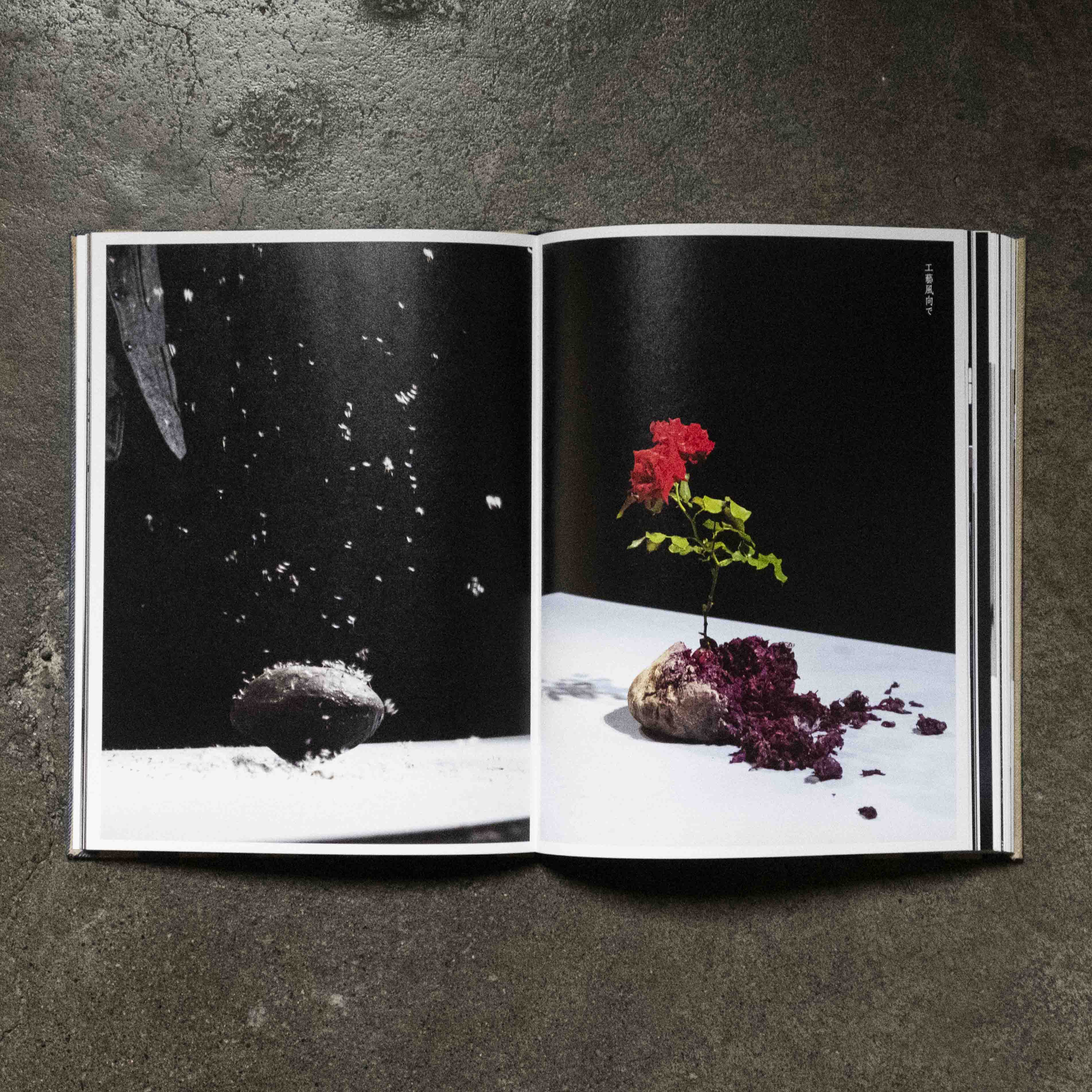 工芸青花｜18号 – 青花の会｜seikashop