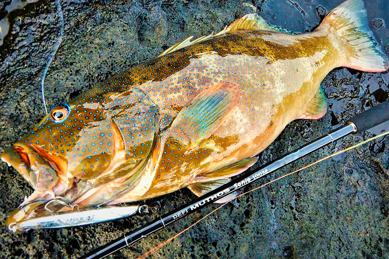 Zenaq DEFI MUTHOS SONIO - Rods | Saltwater Rods