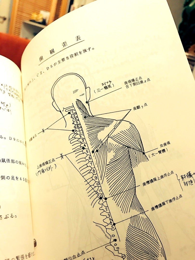 門外不出】身体均整法のヤバい奥義書をこっそりチラ見せさせていただき