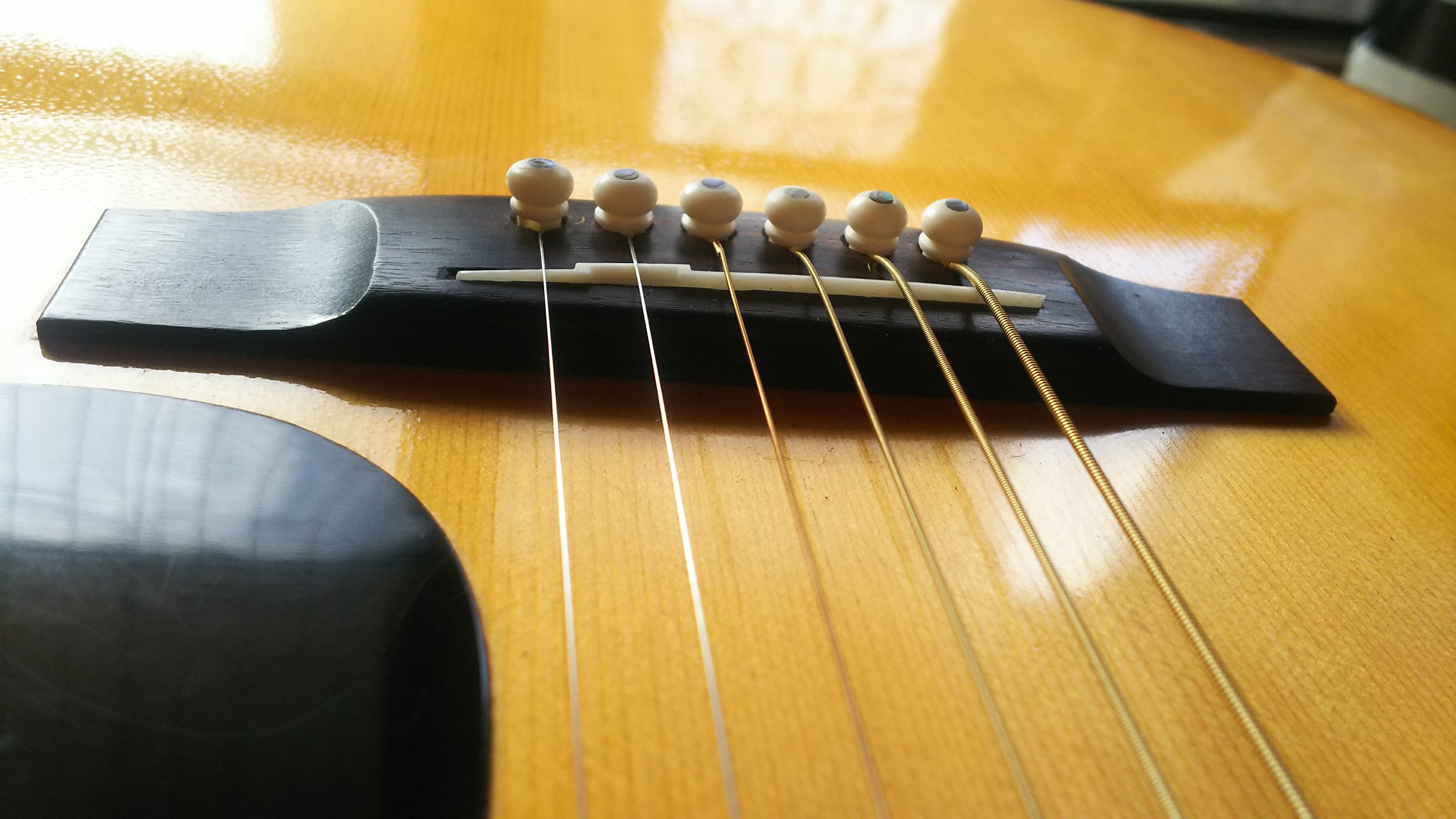 No：1 Takamine Elite TW-40ハカランダモデル アコースティックギター