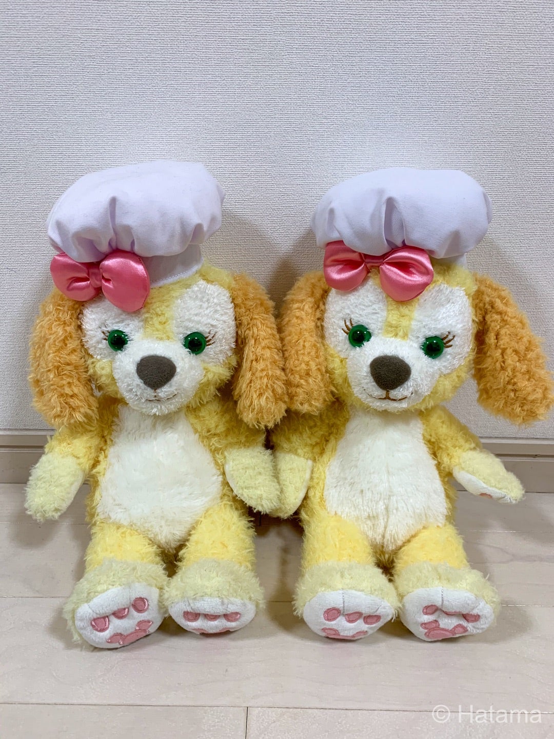 比べてみよう！香港のクッキーとTDSのクッキー・アン | Hatama