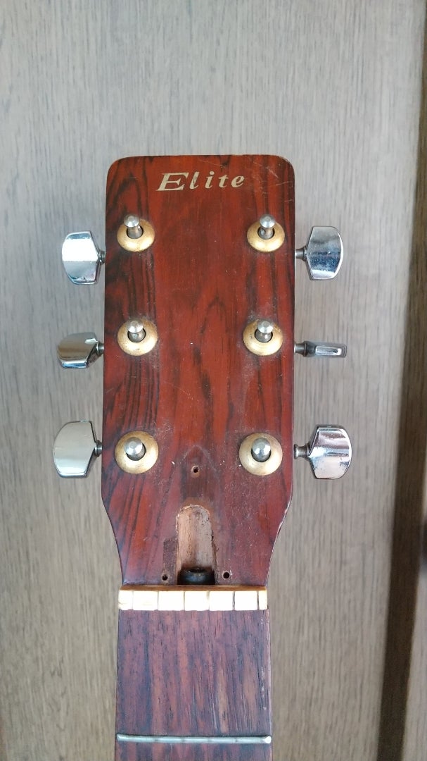 Takamine Elite TW-25イレギュラー ハカランダ ① | ゆずマンのギター