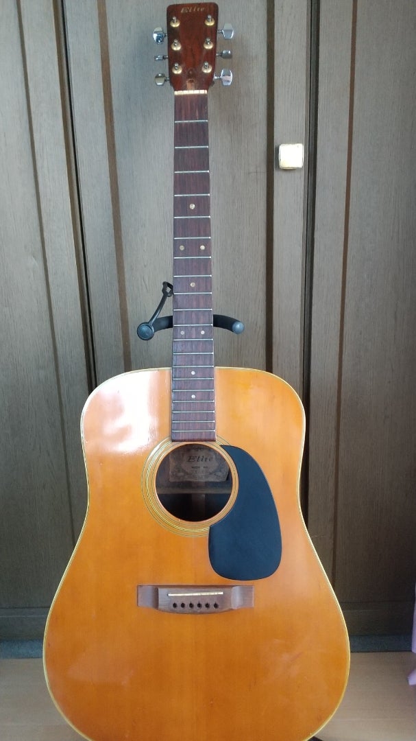 Takamine Elite TW-25イレギュラー ハカランダ ① | ゆずマンのギター