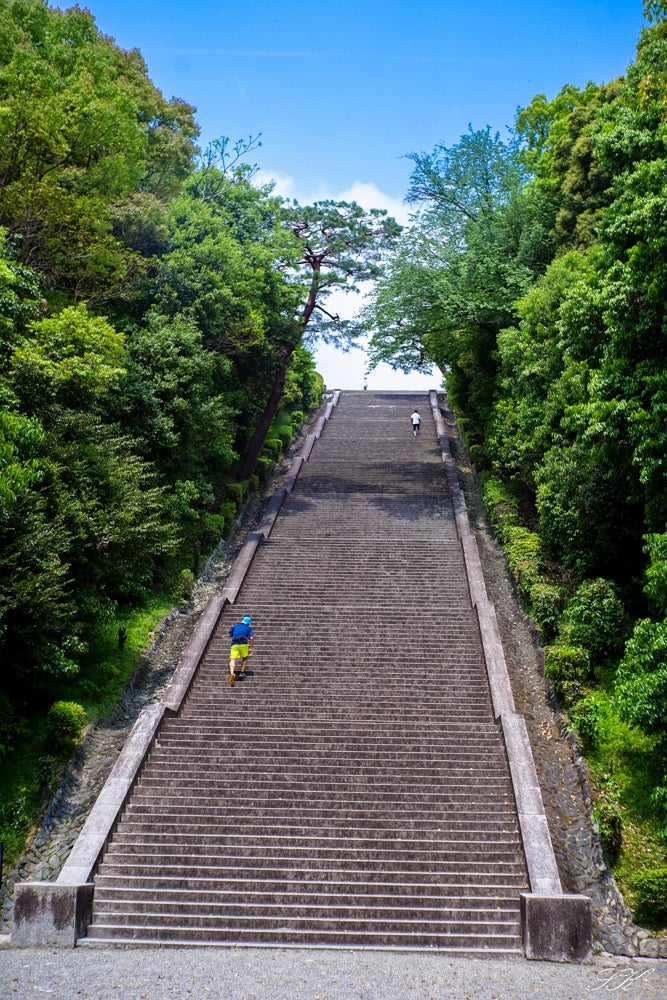 KONISHIROKU HEXAR 5cm f3.5 Lと引き伸ばしレンズ | SKの寫眞機道楽