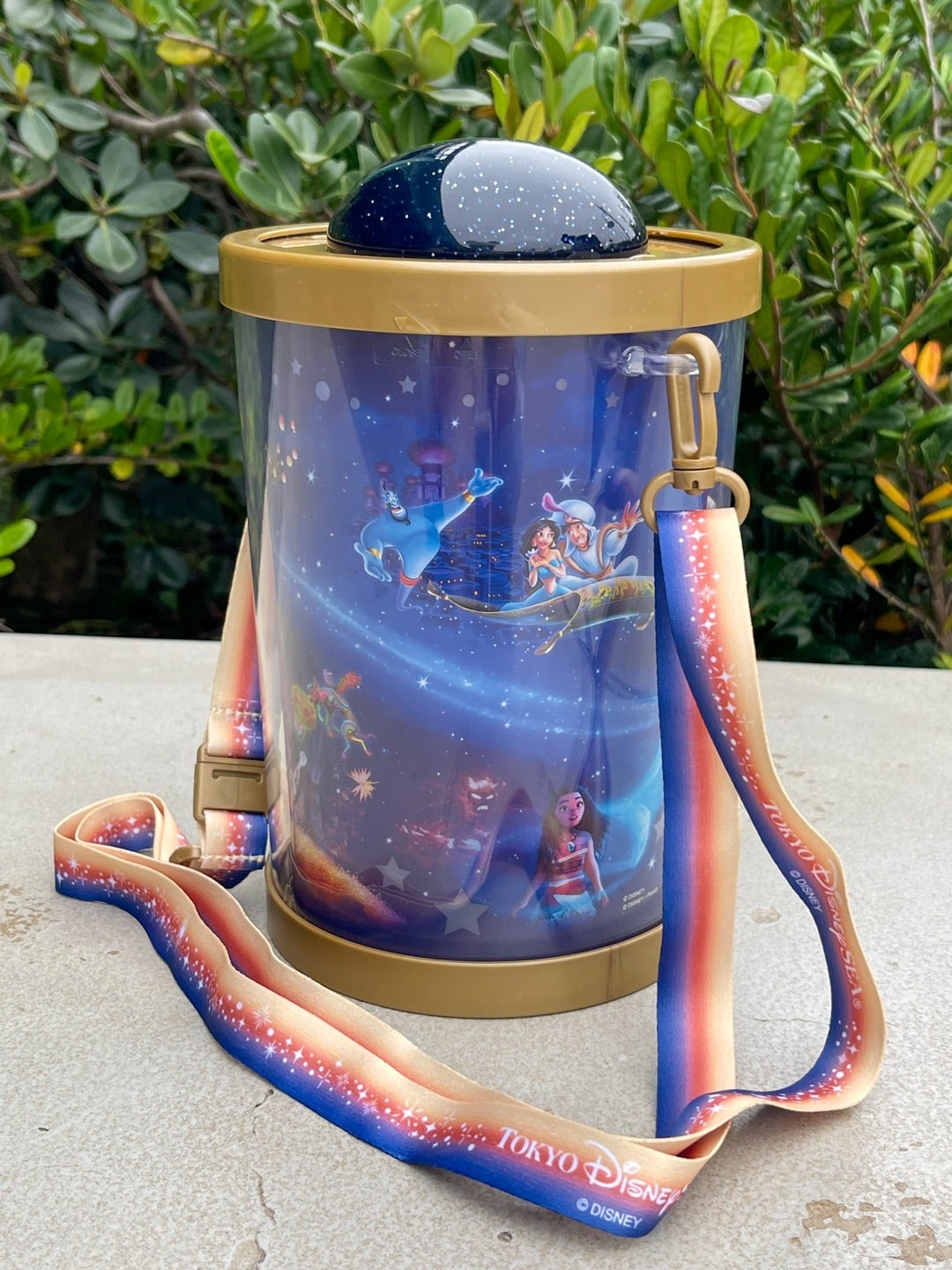 光る！まわる！TDS新ショーのポップコーンバケット | Hatama Official Blog