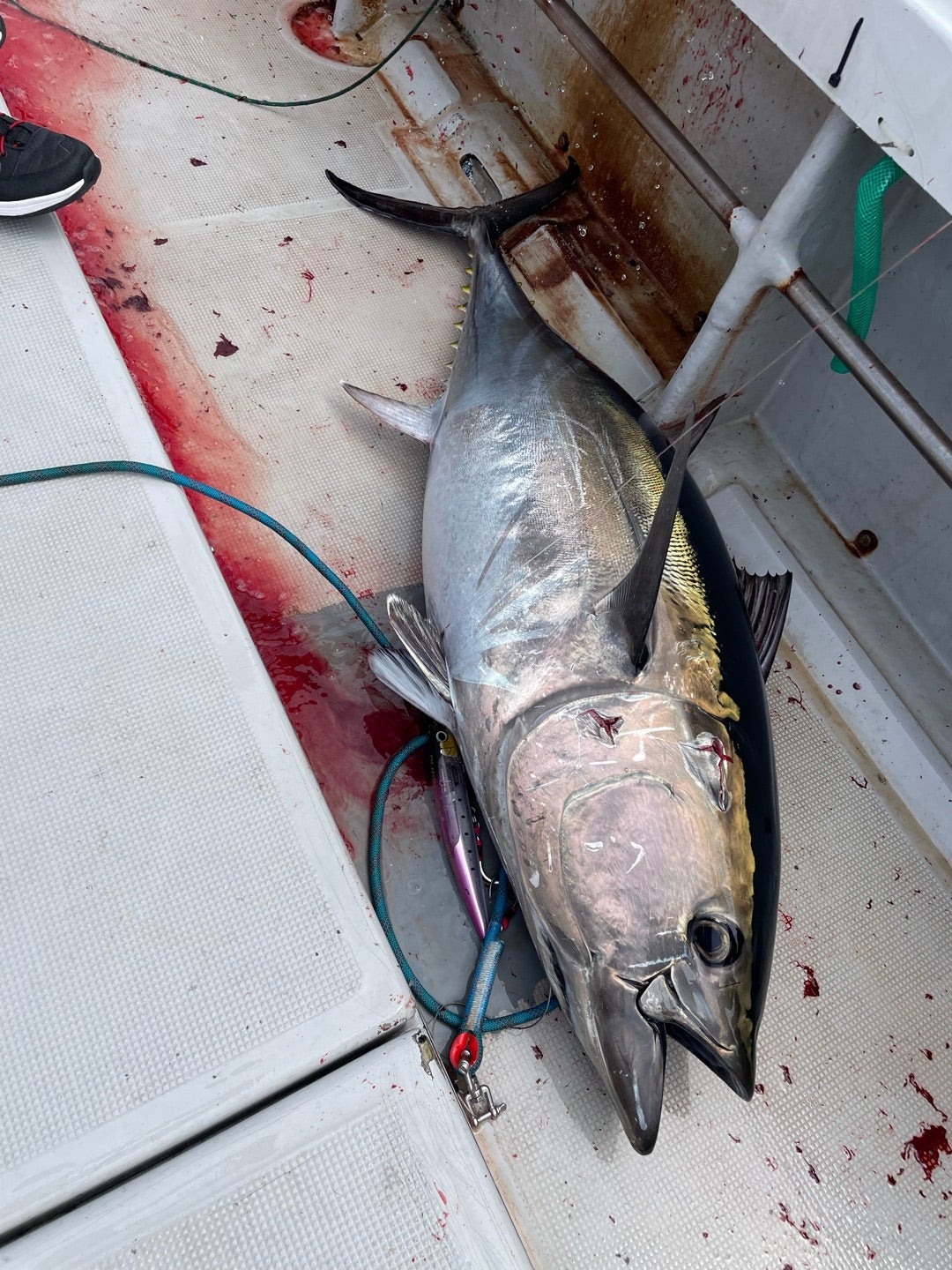 217 2023マグロキャスティング | DV8（マキ）の「新潟上越釣行記