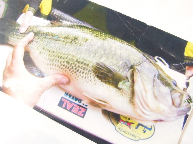 自己記録を釣ったルアー ハトリーズ ノーティーブラッド | ランブル