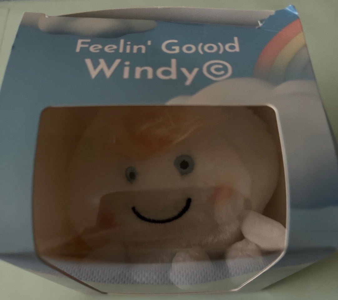 藤井風グッズ ウィンディちゃんが家にやってきた！ | アラカンが語る