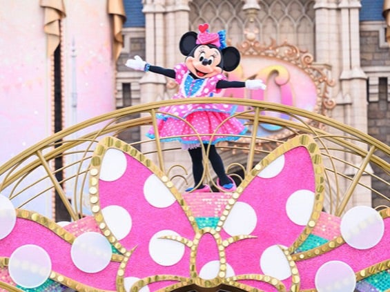 ディズニーパルパルーザ ミニーファンダーランドコスチューム一色